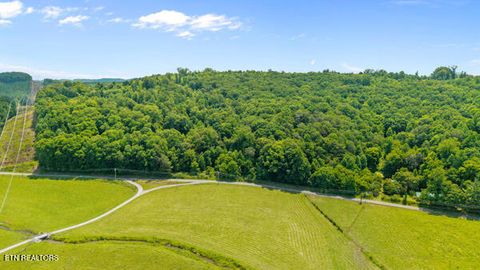 Tiny photo for 1913 Dry Fork Valley Rd, Philadelphia, TN 37846 (MLS # 1347834)