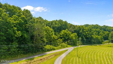 Tiny photo for 1913 Dry Fork Valley Rd, Philadelphia, TN 37846 (MLS # 1347834)
