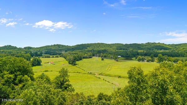 1913 Dry Fork Valley Rd