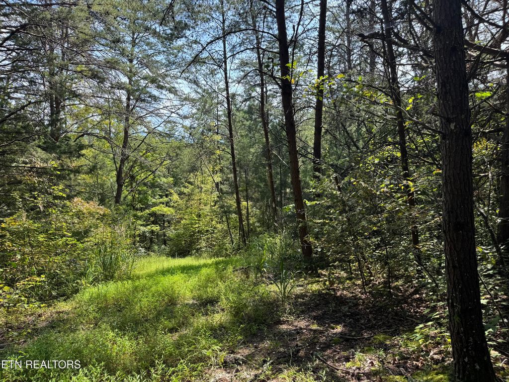 Photo of 8 Tanglewood Drive, Sevierville, TN 37876 (MLS # 1315637)