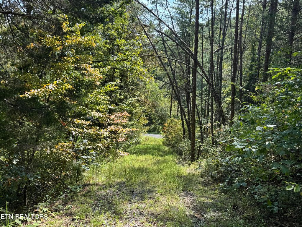 Photo of 8 Tanglewood Drive, Sevierville, TN 37876 (MLS # 1315637)