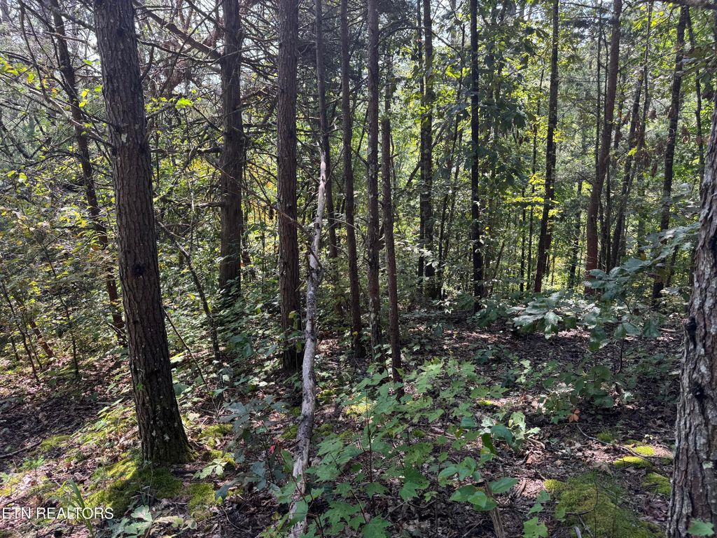 Photo of 8 Tanglewood Drive, Sevierville, TN 37876 (MLS # 1315637)