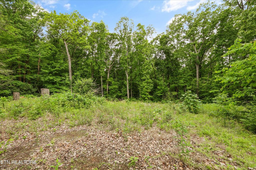 Photo of 2915 Curtis Lane, Knoxville, TN 37918 (MLS # 1339027)