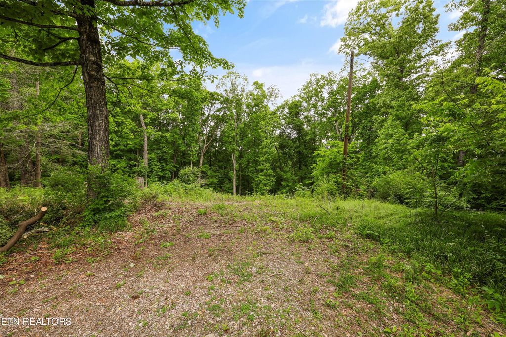 Photo of 2915 Curtis Lane, Knoxville, TN 37918 (MLS # 1339027)