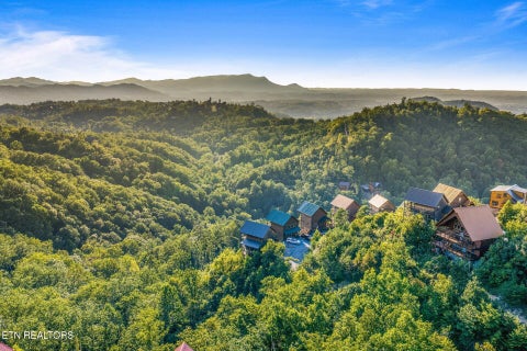 Tiny photo for 1876 Billard Way, Sevierville, TN 37876 (MLS # 1355580)