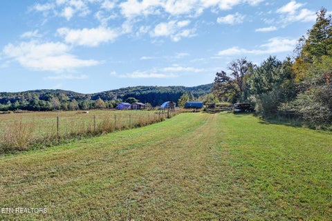 Tiny photo for 651 Rhea Springs Rd, Spring City, TN 37381 (MLS # 1360261)