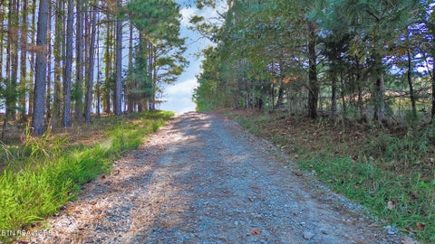 Tiny photo for 651 Rhea Springs Rd, Spring City, TN 37381 (MLS # 1360261)