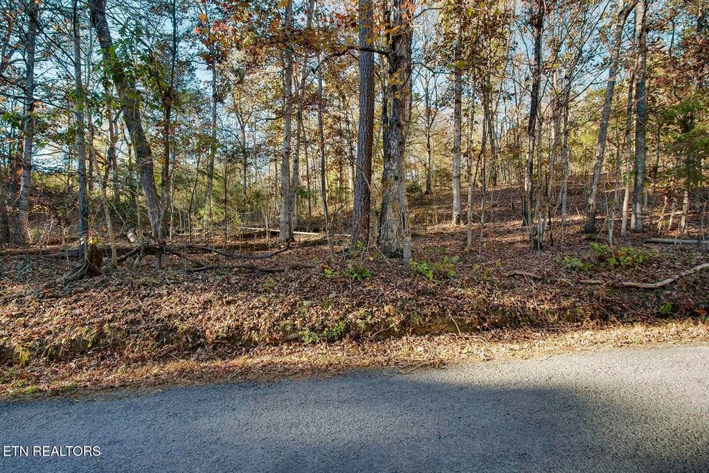 Photo of Lot 6-7 Morrison Rd, Decatur, TN 37322 (MLS # 1283416)