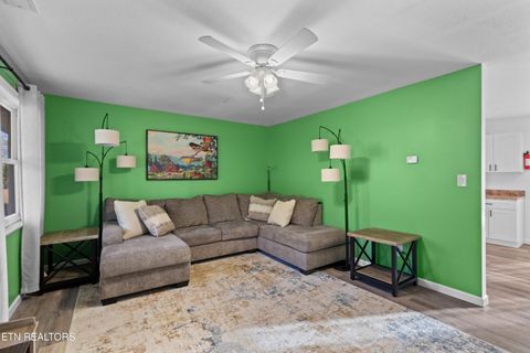 Tiny photo for 508 Hwy 73, Newport, TN 37821 (MLS # 1320294)