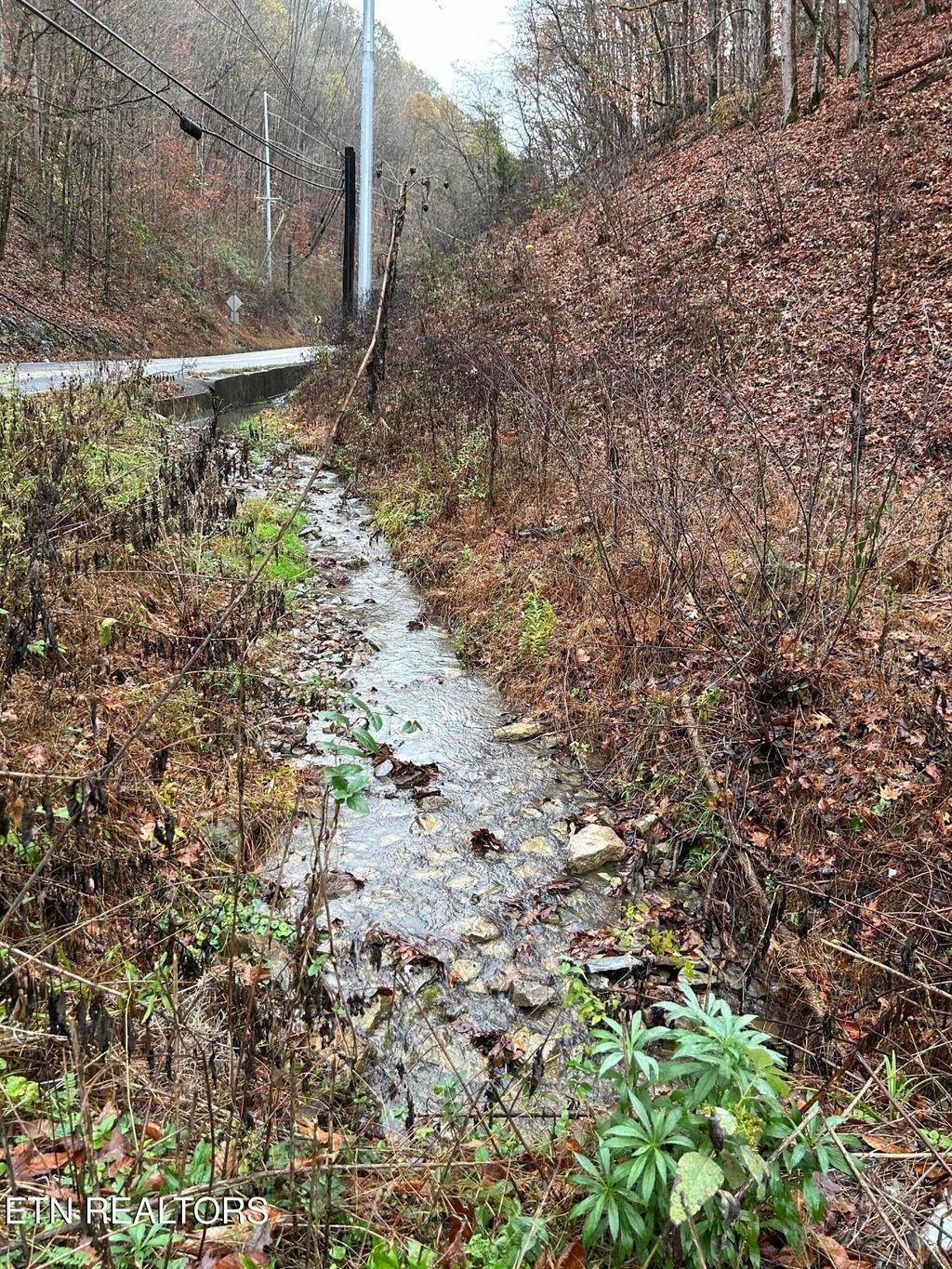 Photo of Hwy 61 E, Maynardville, TN 37807 (MLS # 1282659)