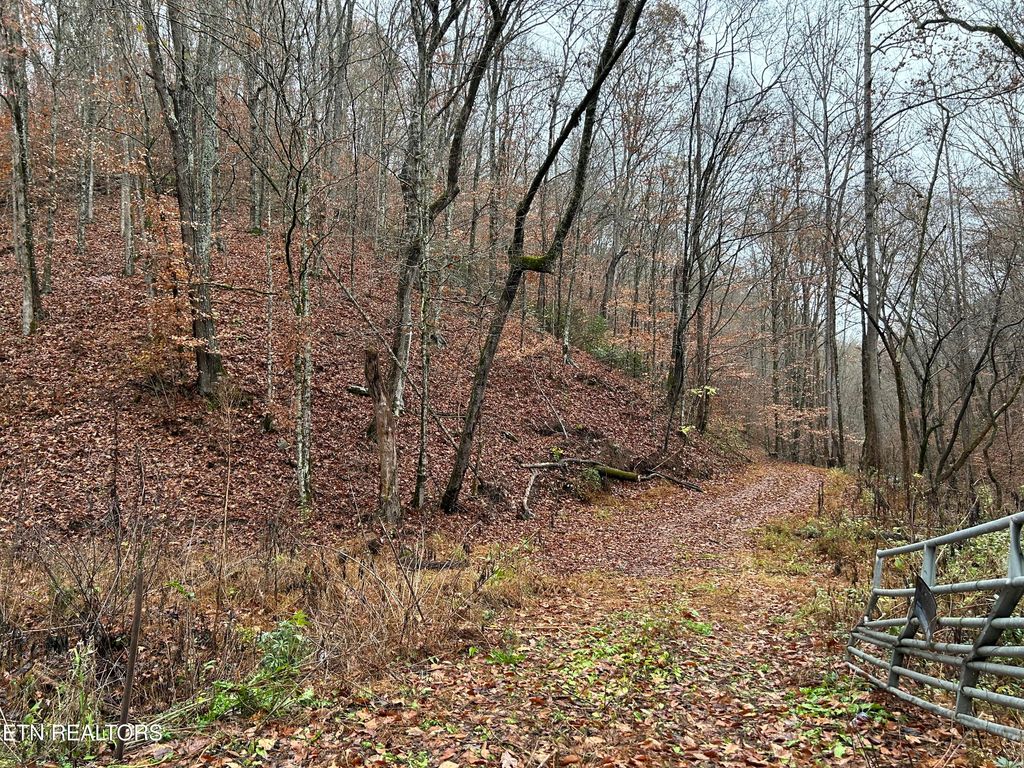 Photo of Hwy 61 E, Maynardville, TN 37807 (MLS # 1282659)