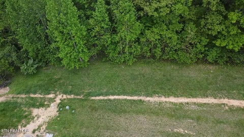 Tiny photo for 42 Old Hearth Drive, LaFollette, TN 37766 (MLS # 1298988)