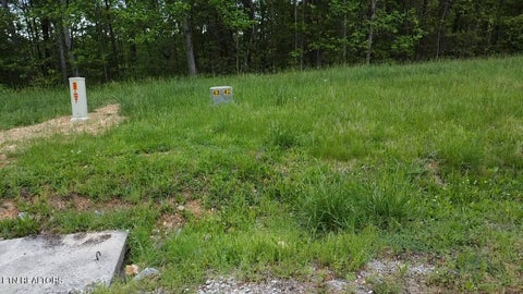 Tiny photo for 42 Old Hearth Drive, LaFollette, TN 37766 (MLS # 1298988)