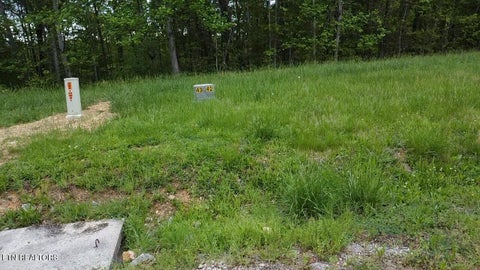 Tiny photo for 42 Old Hearth Drive, LaFollette, TN 37766 (MLS # 1298988)