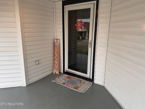 Tiny photo for 1618 Branner St, Knoxville, TN 37917 (MLS # 1329941)