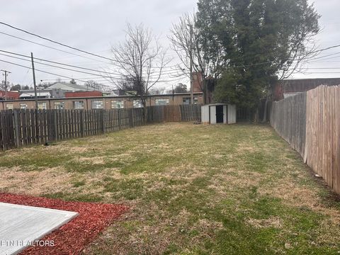 Tiny photo for 1618 Branner St, Knoxville, TN 37917 (MLS # 1329941)