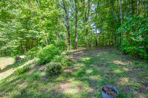 Tiny photo for 116 Stair Lane, Clinton, TN 37716 (MLS # 1339079)