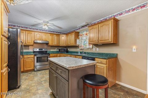 Tiny photo for 251 Carter Lane, Decatur, TN 37322 (MLS # 1334710)