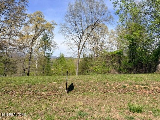 101 SADDLERIDGE LN, NEW TAZEWELL, TN 37825 - Image dc5f16ce37e23a41bce160ba50525e03/896194167