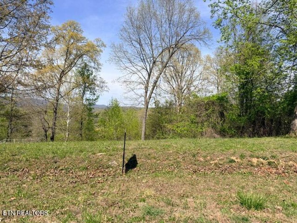 Photo of 74 Saddleridge Drive, Speedwell, TN 37870 (MLS # 1340932)