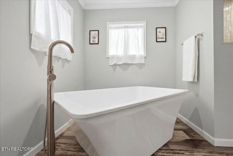 Tiny photo for 158 Elaine Drive, Tazewell, TN 37879 (MLS # 1346667)