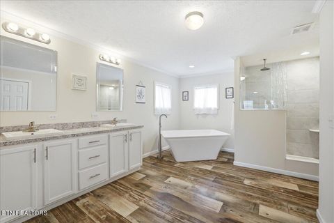 Tiny photo for 158 Elaine Drive, Tazewell, TN 37879 (MLS # 1346667)