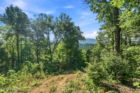 Tiny photo for 2453 Lower Rinehart Rd, Dandridge, TN 37725 (MLS # 1360365)