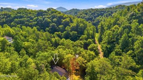 Tiny photo for 2453 Lower Rinehart Rd, Dandridge, TN 37725 (MLS # 1360365)