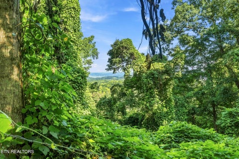 Tiny photo for 2453 Lower Rinehart Rd, Dandridge, TN 37725 (MLS # 1360365)