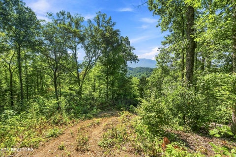 Tiny photo for 2453 Lower Rinehart Rd, Dandridge, TN 37725 (MLS # 1360365)