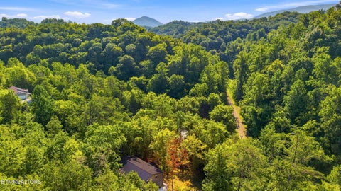 Tiny photo for 2453 Lower Rinehart Rd, Dandridge, TN 37725 (MLS # 1360365)