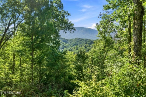 Tiny photo for 2453 Lower Rinehart Rd, Dandridge, TN 37725 (MLS # 1360365)