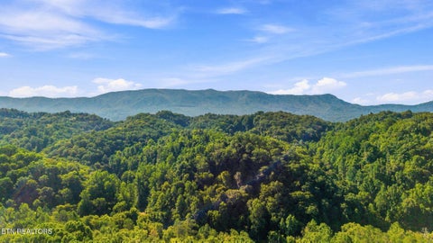 Tiny photo for 2453 Lower Rinehart Rd, Dandridge, TN 37725 (MLS # 1360365)