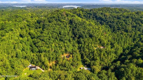Tiny photo for 2453 Lower Rinehart Rd, Dandridge, TN 37725 (MLS # 1360365)