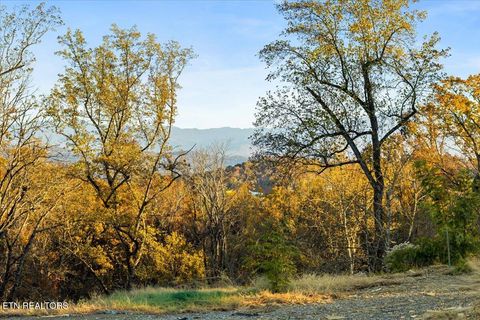 Tiny photo for 1353 Reedmont Way, Sevierville, TN 37876 (MLS # 1324012)