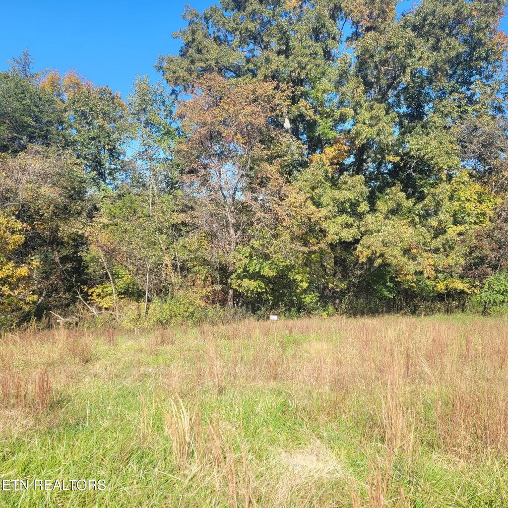 Photo of 112 Etsi Tr, Vonore, TN 37885 (MLS # 1280514)