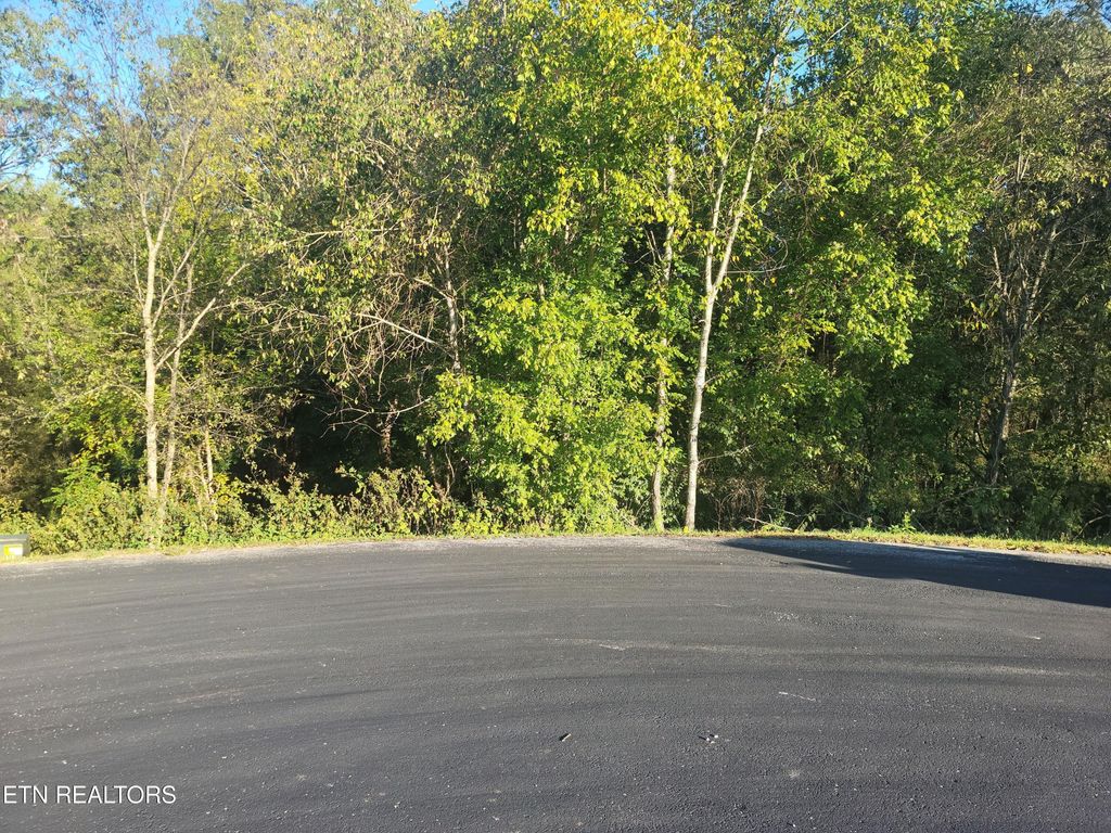 Photo of 112 Etsi Tr, Vonore, TN 37885 (MLS # 1280514)