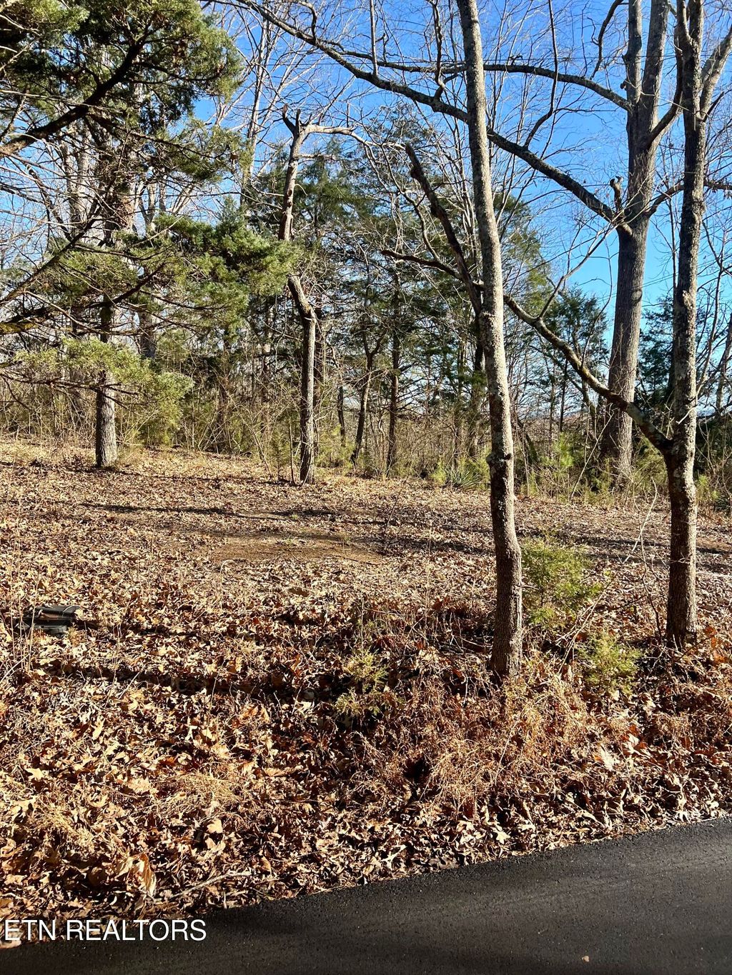 Photo of 561 New Providence Rd, Tellico Plains, TN 37385 (MLS # 1288478)