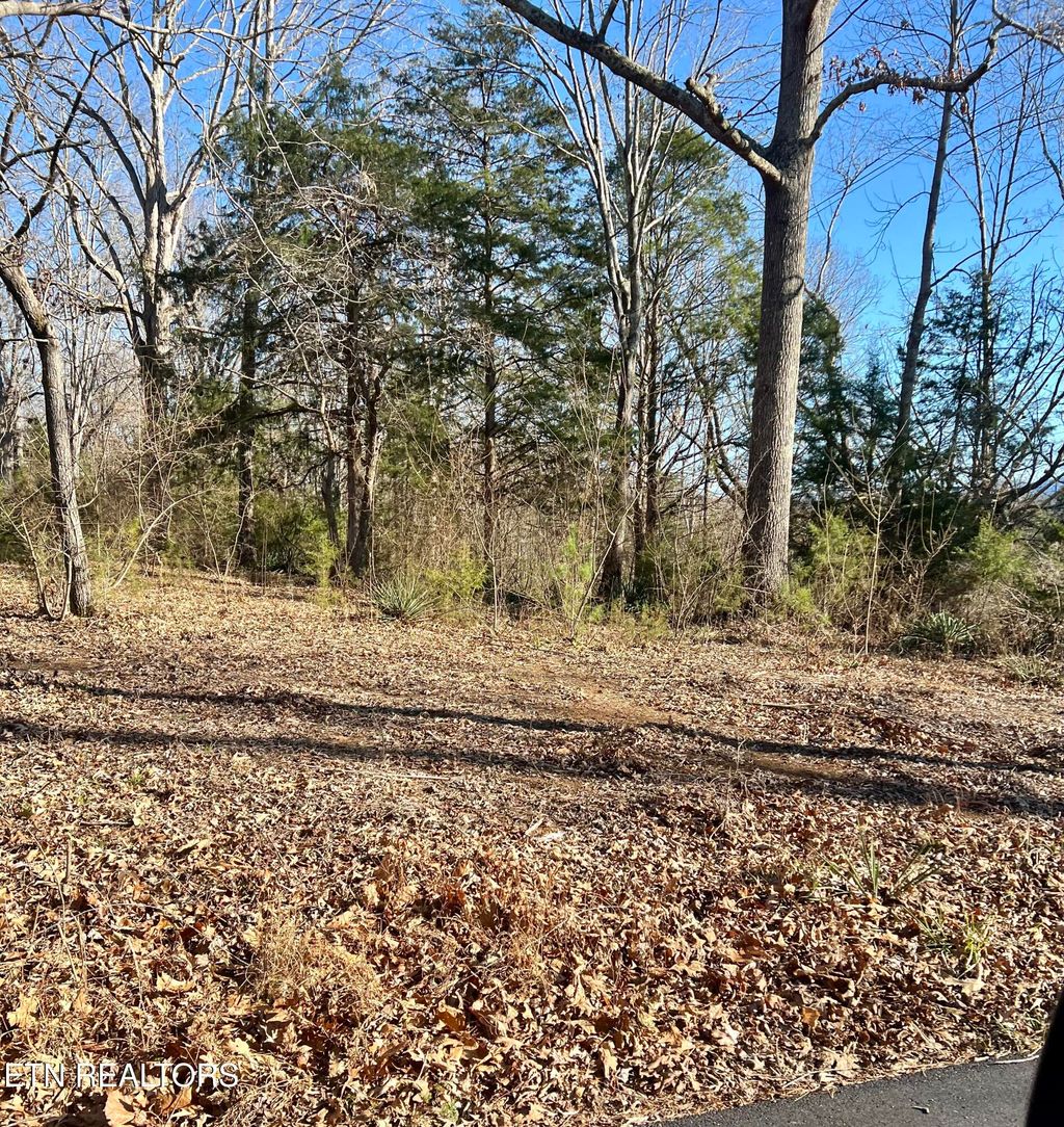 Photo of 561 New Providence Rd, Tellico Plains, TN 37385 (MLS # 1288478)