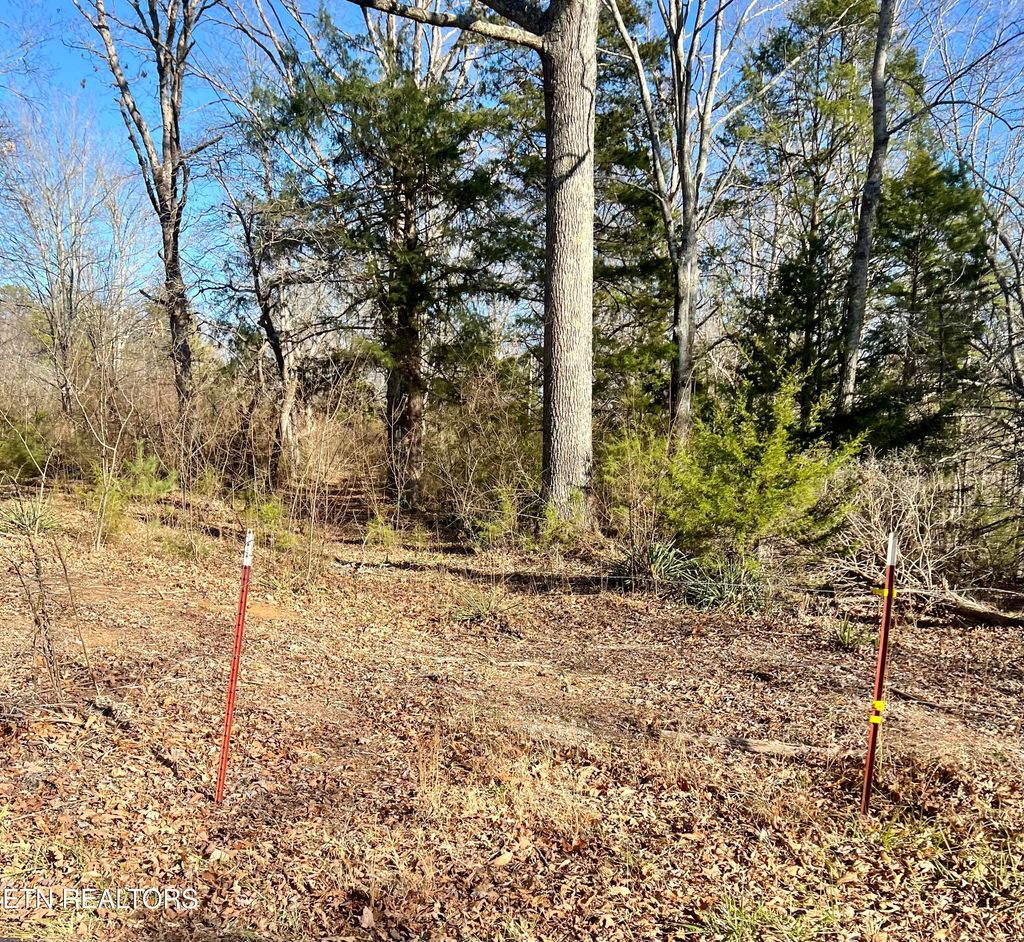 Photo of 561 New Providence Rd, Tellico Plains, TN 37385 (MLS # 1288478)