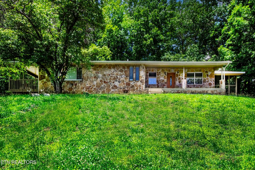 Photo of 161 Strutt St, Oliver Springs, TN 37840 (MLS # 1305262)