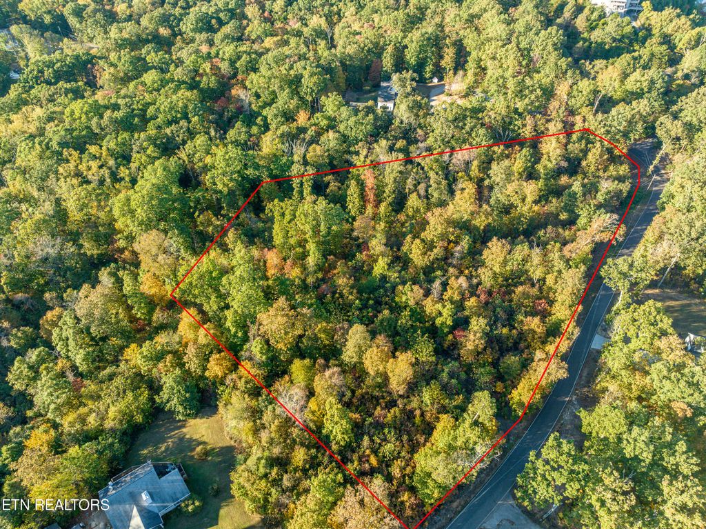 Photo of 931 Parks Ferry Rd, Friendsville, TN 37737 (MLS # 1243572)