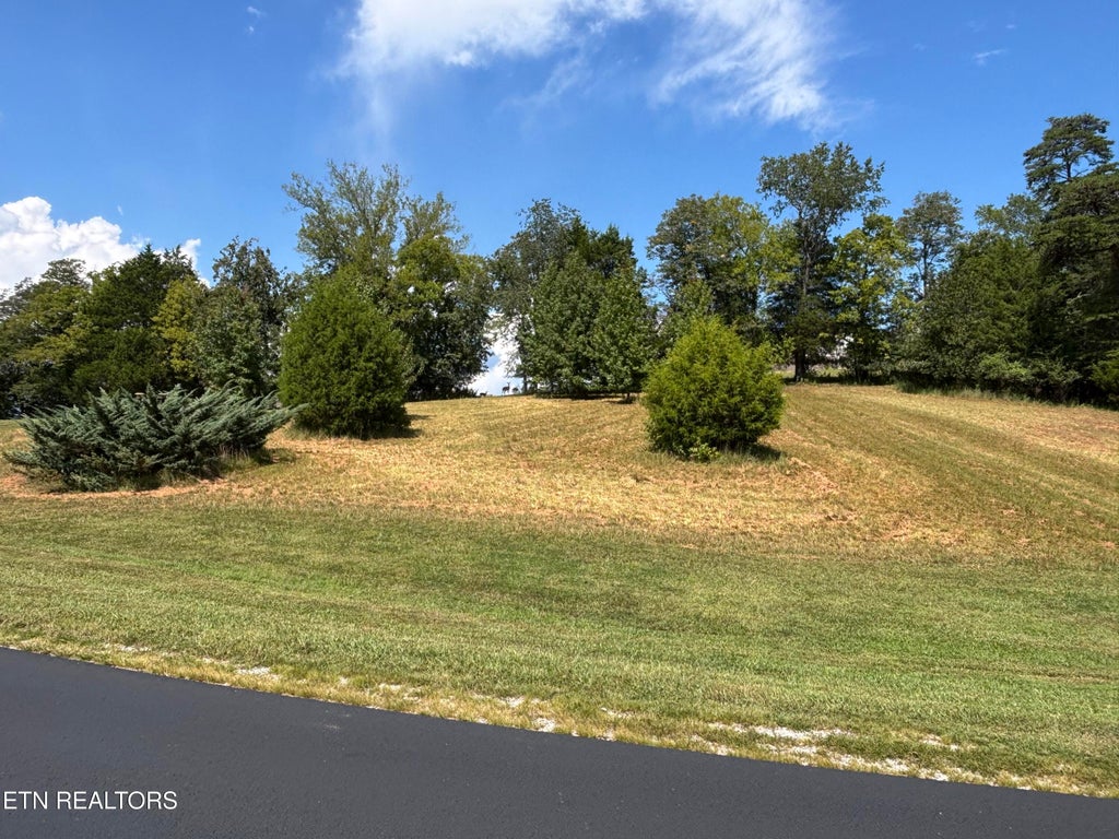 Photo of W Shore Drive, Rockwood, TN 37854 (MLS # 1353439)
