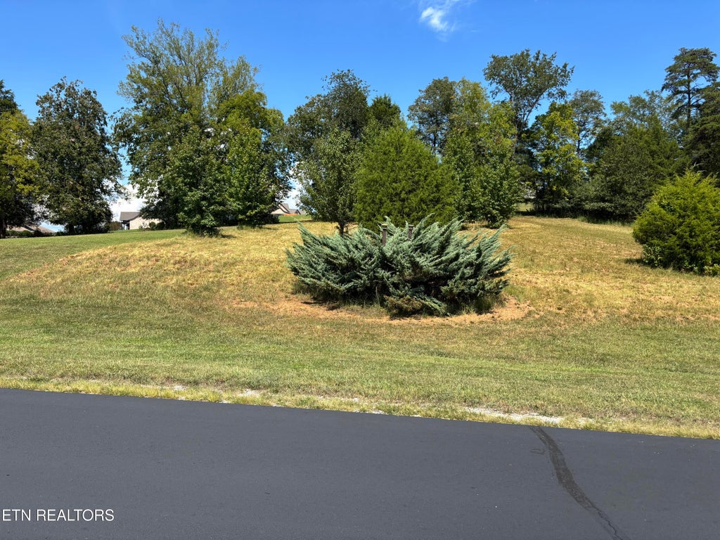 Photo of W Shore Drive, Rockwood, TN 37854 (MLS # 1353439)