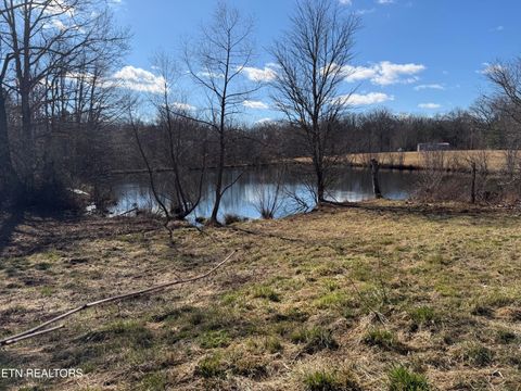 Tiny photo for 4925 Nashville Hwy, Deer Lodge, TN 37726 (MLS # 1328166)
