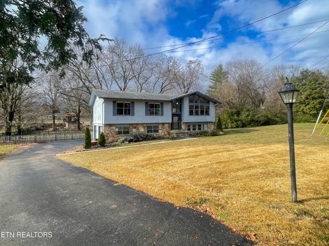 Photo of 8616 Lanier Lane, Knoxville, TN 37923 (MLS # 1323831)