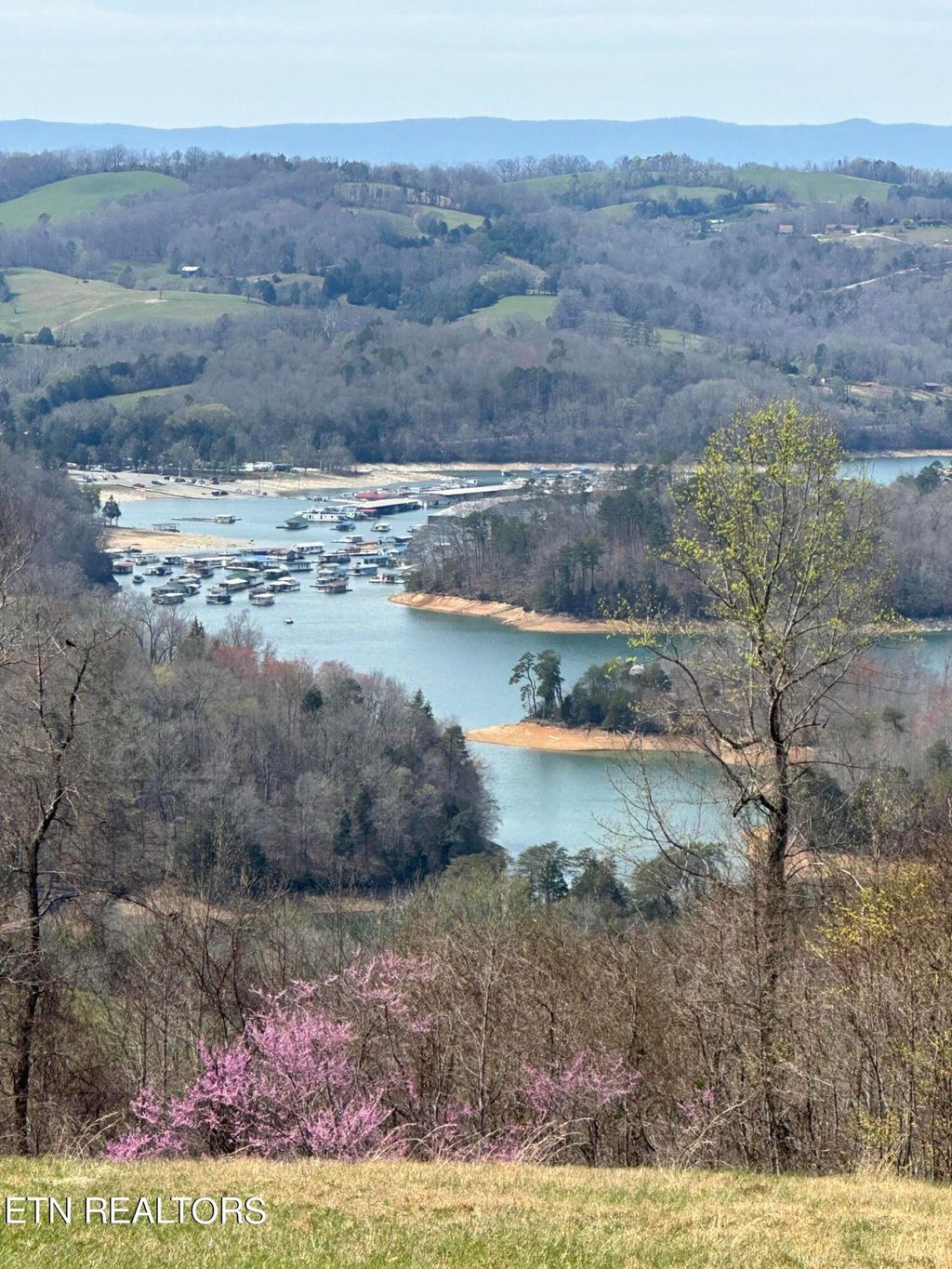 Photo of Bob Wright Lot 34 Rd, Maynardville, TN 37807 (MLS # 1265768)