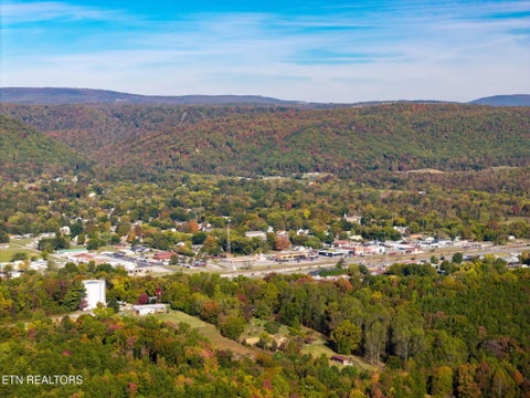 Tiny photo for 114 Broyles Rd, Spring City, TN 37381 (MLS # 1360299)