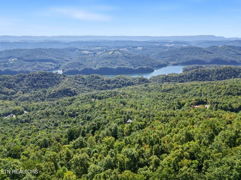 Tiny photo for 203 Nightshade Lane, New Tazewell, TN 37825 (MLS # 1357578)