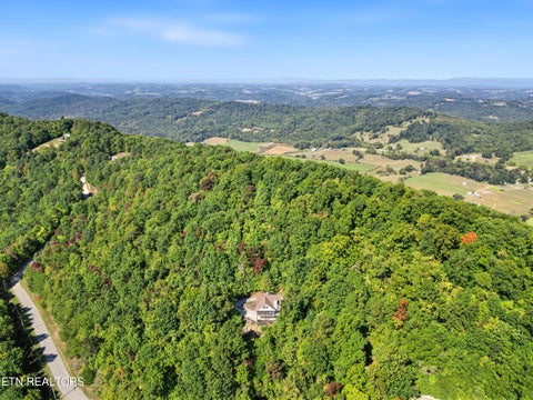 Tiny photo for 203 Nightshade Lane, New Tazewell, TN 37825 (MLS # 1357578)